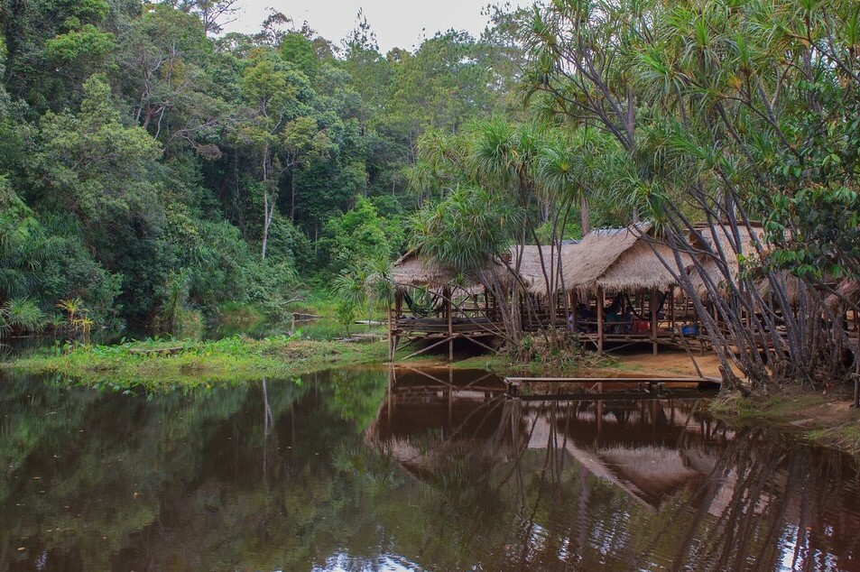 écotourisme Kirirom jungle